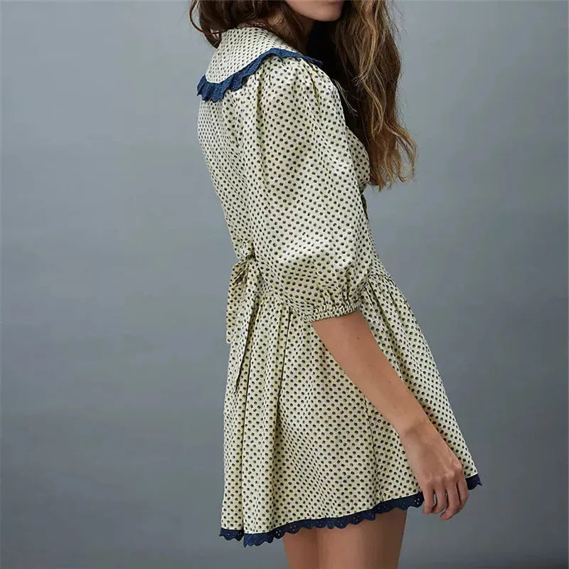 Lace Collar Mini Dress in Elegant Design for Casual or Formal Wear - Perfect for Parties and Special Occasions
